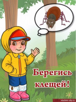 Осторожно КЛЕЩИ Осторожно КЛЕЩИ.